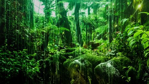 Dung Quan Tam Nguyen Si Kha • Rainy Day Memories • 2023