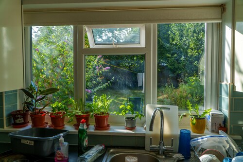 How Environment Shapes the Way We Maintain Our Homes