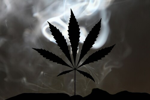 How Relevant Are Dispensaries in the New Era of Natural Healthcare